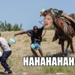 AOC Horse Face