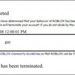 roblox bans: blast from the past | Account Deleted; 5/29/2008 12:00:01 PM; Inappropriate; gay; Your account has been terminated. | image tagged in banned from roblox 2008 interface edition | made w/ Imgflip meme maker