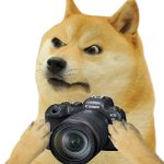 Doge camera
