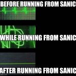 Run | BEFORE RUNNING FROM SANIC; WHILE RUNNING FROM SANIC; AFTER RUNNING FROM SANIC | image tagged in heartbeat empty template,sanic | made w/ Imgflip meme maker
