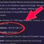 doja cat ip address?! meme