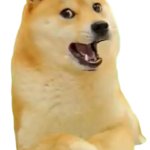 Doge talk Meme Generator - Imgflip