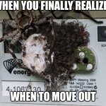 Spiders! Hell No!  | WHEN YOU FINALLY REALIZE; WHEN TO MOVE OUT | image tagged in spiders hell no | made w/ Imgflip meme maker