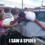 Car Crash Interview | I SAW A SPIDER | image tagged in car crash interview | made w/ Imgflip meme maker