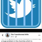 The transformed wife banned meme