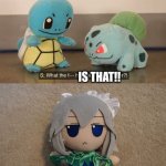 WHAT THE F#$# IS THAT?? | IS THAT!! THIS IS A FUMO | image tagged in fumo,what is that,pokemon,pokemon memes,touhou | made w/ Imgflip meme maker