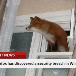firefox has discovered a security breach