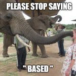 Please Stop Saying BASED | PLEASE STOP SAYING; " BASED " | image tagged in plz stop saying,worst words,annoying,elephant has had enough | made w/ Imgflip meme maker