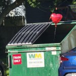 Love Dumpster