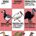 Know your bird-related auguries meme