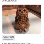 Owls can sit criss cross applesauce meme