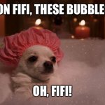 Chihuahua Bubble Bath | COME ON FIFI, THESE BUBBLES ARE... OH, FIFI! | image tagged in chihuahua bubble bath | made w/ Imgflip meme maker