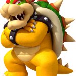 Bowser