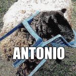 Antonia | ANTONIO | image tagged in shep | made w/ Imgflip meme maker