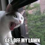 When your cat becomes old | GET OFF MY LAWN | image tagged in screaming cat,cat | made w/ Imgflip meme maker