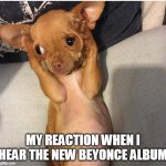 my reaction When I hear the new beyonce album | MY REACTION WHEN I HEAR THE NEW BEYONCE ALBUM | image tagged in dog covers ears,funny,beyonce,music,painful,funny memes | made w/ Imgflip meme maker