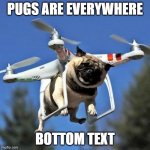 pugs are everywhere | PUGS ARE EVERYWHERE BOTTOM TEXT | image tagged in flying pug | made w/ Imgflip meme maker