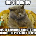 Gambling mindset | DID YOU KNOW; 90% OF GAMBLING ADDICTS QUIT RIGHT BEFORE THEY'RE ABOUT TO WIN IT BIG | image tagged in gambling sad cat | made w/ Imgflip meme maker