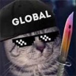 csgo global cat