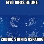 zodiac rubbish | 14YO GIRLS BE LIKE:; MY ZODIAC SIGN IS ASPARAGUS | image tagged in zodiac rubbish | made w/ Imgflip meme maker