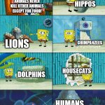 Spongebob shows Patrick Garbage | HIPPOS; ANIMALS NEVER KILL OTHER ANIMALS EXCEPT FOR FOOD! CHIMPANZEES; LIONS; HOUSECATS; DOLPHINS; HUMANS | image tagged in spongebob shows patrick garbage | made w/ Imgflip meme maker