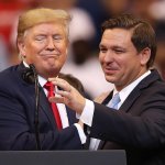 Trump and DeSantis, knives out template
