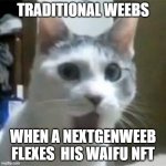 Shocked Weeb | TRADITIONAL WEEBS; WHEN A NEXTGENWEEB FLEXES  HIS WAIFU NFT | image tagged in shocked cat,nextgenwaifus | made w/ Imgflip meme maker