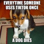 Remember, don't use Tiktok or else All dogs will die | EVERYTIME SOMEONE USES TIKTOK ONCE; A DOG DIES | image tagged in sad puppy,puppy,tiktok sucks,tik tok sucks | made w/ Imgflip meme maker