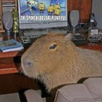 capybara watching spunsklobs