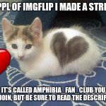 cute cat heart | HI PPL OF IMGFLIP I MADE A STREAM; IT'S CALLED AMPHIBIA_FAN_CLUB YOU MAY JOIN, BUT BE SURE TO READ THE DESCRIPTION | image tagged in cute cat heart | made w/ Imgflip meme maker