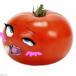 tomatussy