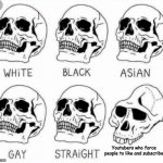 Like, C'mon, Guys! | Youtubers who force people to like and subscribe | image tagged in white black asian gay straight skull template,youtube,like,subscribe,youtubers,stupid | made w/ Imgflip meme maker