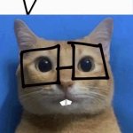 nerd cat