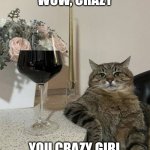 Cat with Wine | WOW, CRAZY; YOU CRAZY GIRL | image tagged in cat with wine | made w/ Imgflip meme maker
