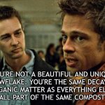 Not a beautiful and unique snowflake | YOU'RE NOT A BEAUTIFUL AND UNIQUE SNOWFLAKE. YOU'RE THE SAME DECAYING ORGANIC MATTER AS EVERYTHING ELSE. WE'RE ALL PART OF THE SAME COMPOST HEAP. | image tagged in tyler durden,fight club | made w/ Imgflip meme maker