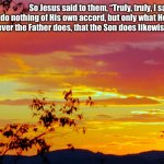 John 5:19 ESV | So Jesus said to them, “Truly, truly, I say to you, the Son can do nothing of His own accord, but only what He sees the Father doing. For whatever the Father does, that the Son does likewise. ~John 5:19 ESV | image tagged in vivid sunlight | made w/ Imgflip meme maker