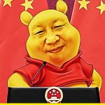 XI POOH