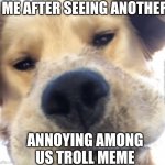 bruh | ME AFTER SEEING ANOTHER; WELLWEGOTMEMES; ANNOYING AMONG US TROLL MEME | image tagged in doggo bruh,rip,oof,among us,annoying,troll | made w/ Imgflip meme maker