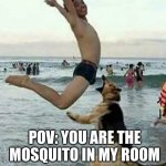Mo | POV: YOU ARE THE  MOSQUITO IN MY ROOM | image tagged in dog bite dick | made w/ Imgflip meme maker