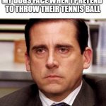 fetch meme | MY DOGS FACE WHEN I PRETEND 
TO THROW THEIR TENNIS BALL | image tagged in steve carell staring face,dog,dog memes,steve carell,steve carell banana | made w/ Imgflip meme maker