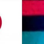 Japanese pan african flag