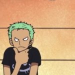 Zoro thinking