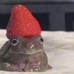 Raspberry Frog 2