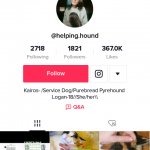 @helping.hound