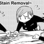 Stain removal meme