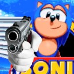 Sonic With Gun