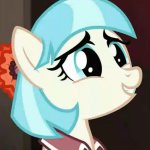 Coco pommel