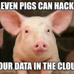 Your data with cloud services | EVEN PIGS CAN HACK; YOUR DATA IN THE CLOUD | image tagged in pig | made w/ Imgflip meme maker