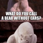 bad joke polar bear | WHAT DO YOU CALL A BEAR WITHOUT EARS? A B | image tagged in bad joke polar bear,dad joke,corny,corny joke,bad joke | made w/ Imgflip meme maker