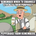 Looking at you, Cartoon Network, Animal Planet, History Channel, and Toon Disney. | REMEMBER WHEN TV CHANNELS STUCK TO THEIR PURPOSE? PEPPERIDGE FARM REMEMBERS | image tagged in memes,pepperidge farm remembers | made w/ Imgflip meme maker